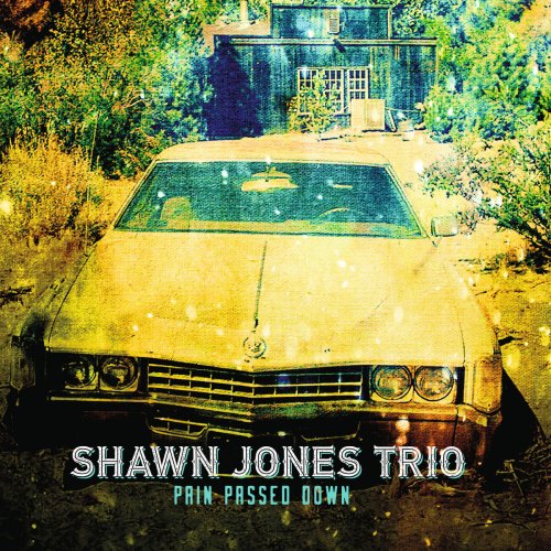 Shawn Jones Trio - Pain Passed Down (2017)