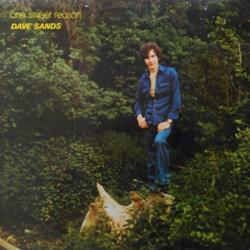 Dave Sands - One Sweet Reason (2022) [Hi-Res]