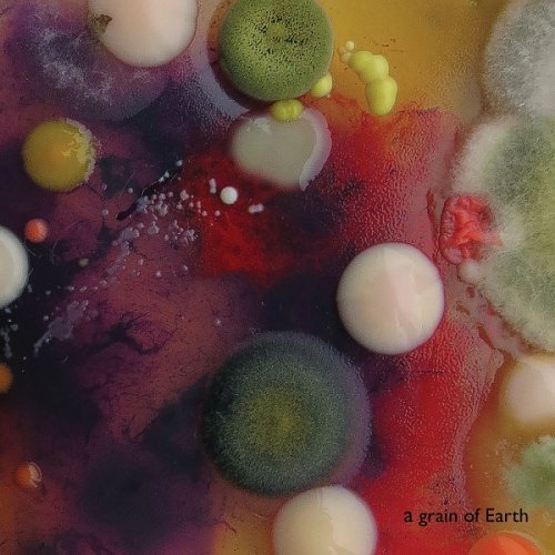 Marta Warelis - a grain of Earth (2022)