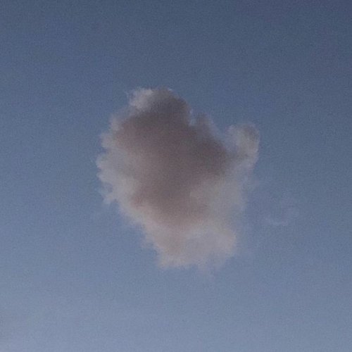 CHATON - MINUTE (2022) Hi-Res