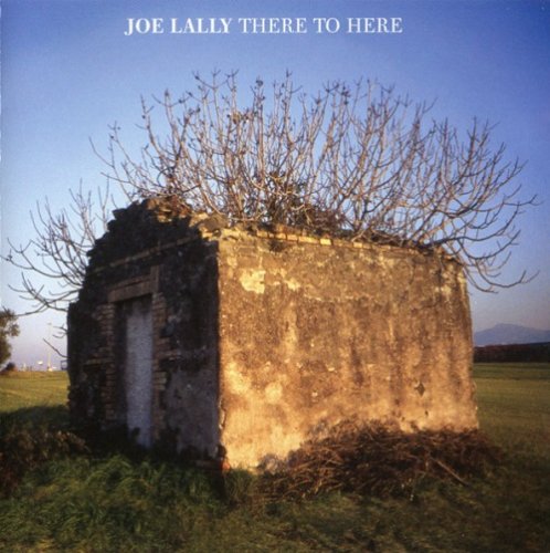 Joe Lally - There to Here (2006)