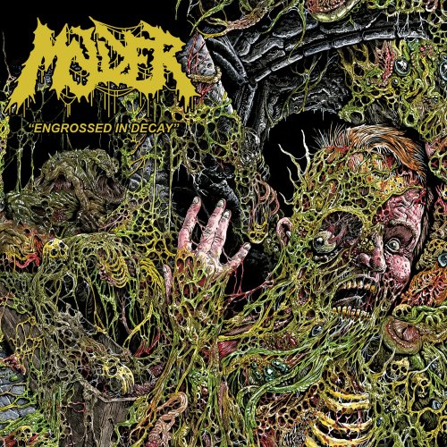 Molder - Engrossed in Decay (2022) Hi-Res