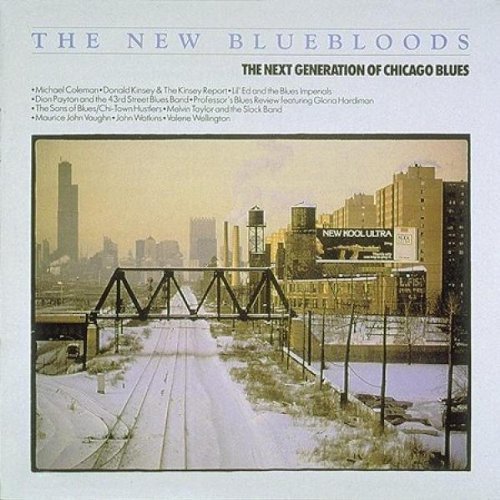 VA - The New Bluebloods (The Next Generation Of Chicago Blues) (1987)