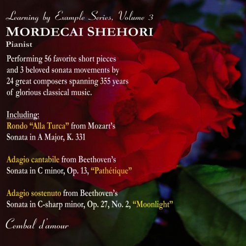 Mordecai Shehori - Learning by Example Series, Vol. 3 (2008)
