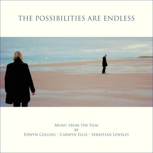 Carwyn Ellis, Sebastian Lewsley & Edwyn Collins - The Possibilities Are Endless (2014)