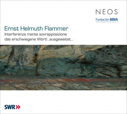 Yuko Suzuki, SWR Sinfonieorchester Baden-Baden und Freiburg - Flammer: Orchestra Works 1 (2008)