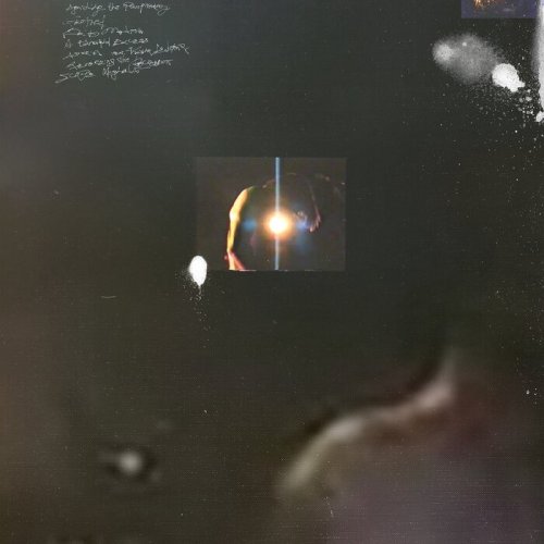 Angelo Harmsworth - Singe (2022)
