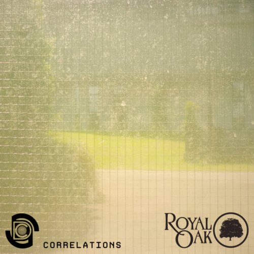 Space Dimension Controller - Correlations (2022)