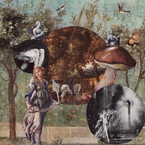 Native Harrow - Old Kind of Magic (2022) [Hi-Res]
