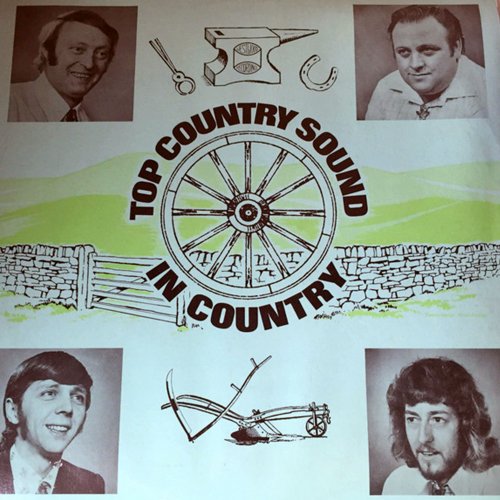 Top Country Sound - In Country (2022) [Hi-Res]