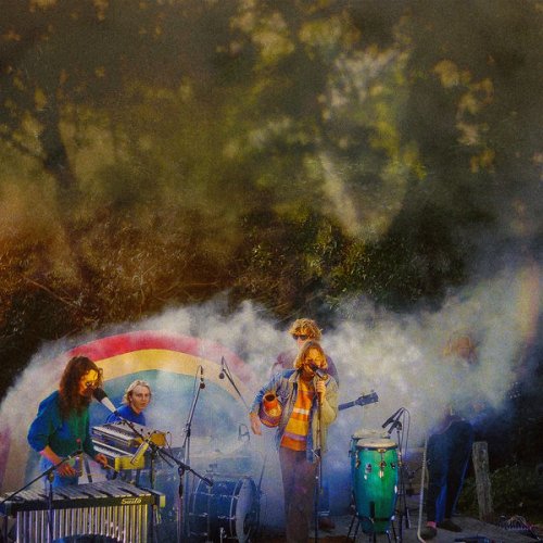 The Babe Rainbow - Levitation Sessions (Live) (2022)