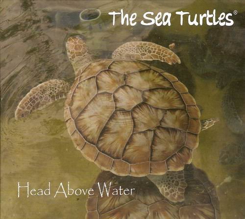 The Sea Turtles - Head Above Water (2010)