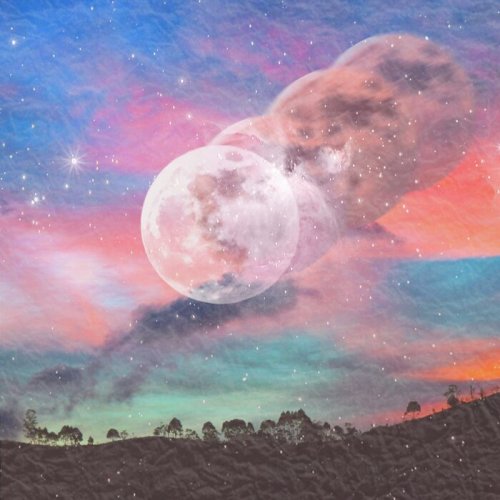 Fred P - States of Bliss (2023)