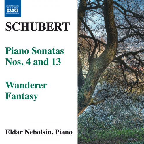 Eldar Nebolsin - Schubert: Piano Sonatas Nos. 4 & 13 - Wanderer Fantasy (2011)