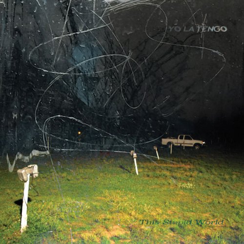 Yo La Tengo - This Stupid World (2023) [Hi-Res]