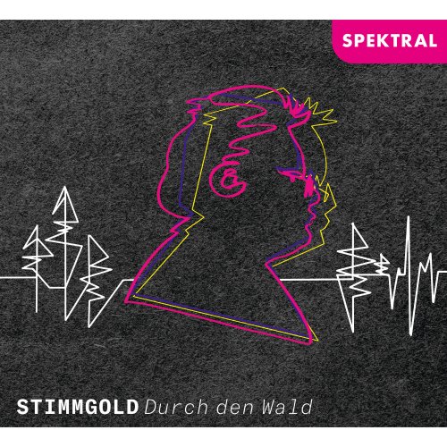 StimmGold Vokalensemble & Duo Fallwander - Durch den Wald (2023) [Hi-Res]