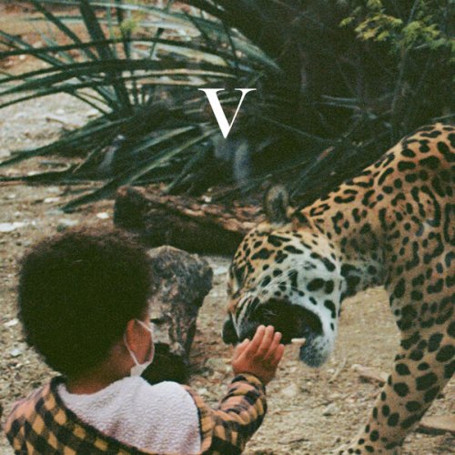 Unknown Mortal Orchestra - V (2023) [Hi-Res]