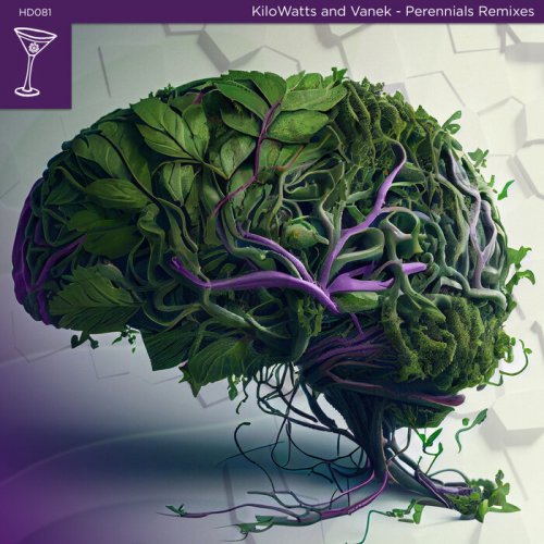 KiloWatts, Vanek - Perennials Remixes (2023)