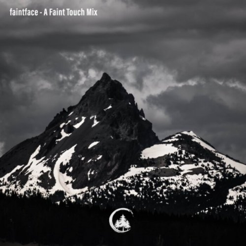 VA - A Faint Touch (2023)