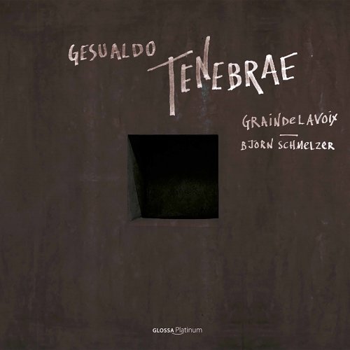 Marius Peterson, Graindelavoix - Björn Schmelzer, Adrian Sîrbu, Björn Schmelzer - Tenebrae (2020) [Hi-Res]