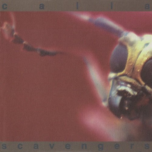 Calla - Scavengers (2000)