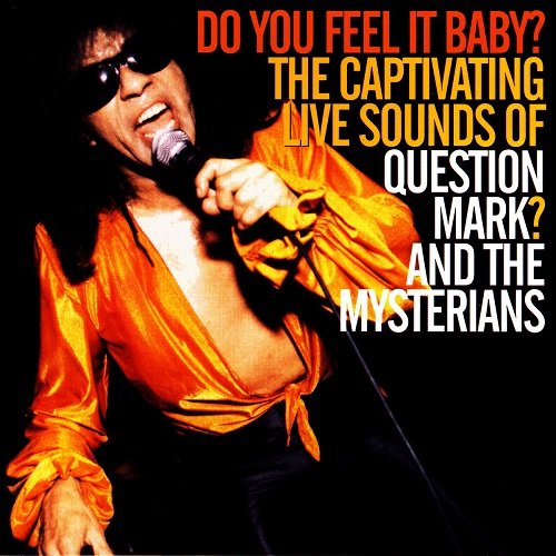 Question Mark & The Mysterians - Do You Feel It Baby? (1998)