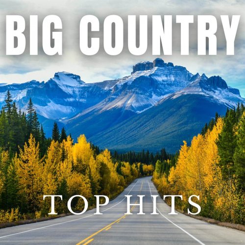 VA - Big Country Top Hits (2023)