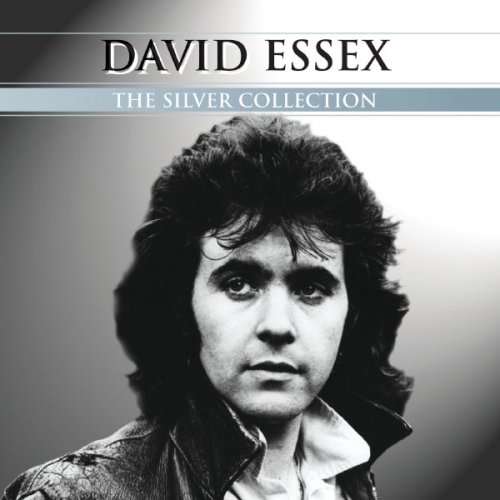 David Essex - The Silver Collection: David Essex  (2007)
