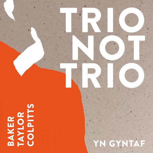 Aidan Baker, Stacy Taylor & John Colpitts - Trio Not Trio - Yn Gyntaf (2023)
