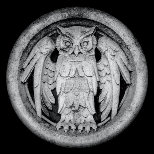 Monarchy - Abnocto (2015)