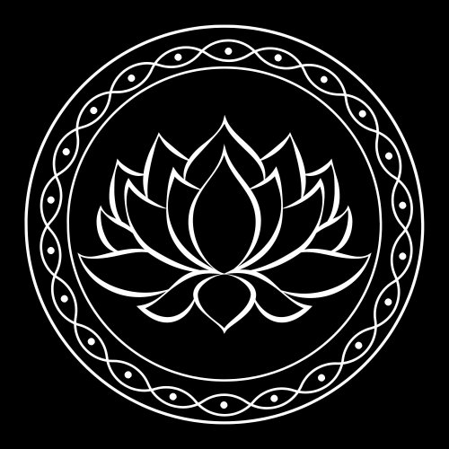 True Home - Black Lotus (2023) Hi-Res
