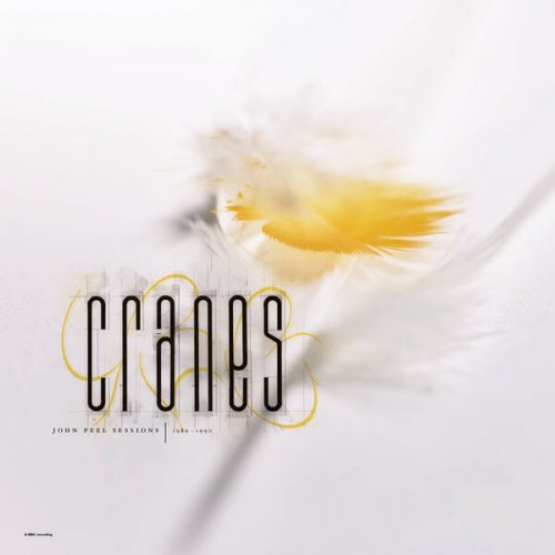 Cranes - John Peel Sessions (1989-1990) (2023)
