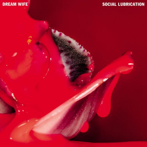 Dream Wife - Social Lubrication (2023) Hi Res