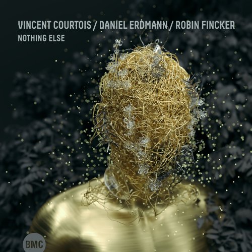Vincent Courtois, Daniel Erdmann, Robin Fincker - Nothing Else (2023) Hi Res