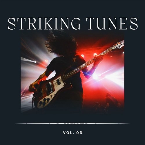 VA - Striking Tunes Vol 6 (2023)