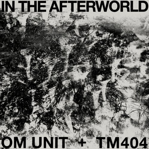 Om Unit & Tm404 - In The Afterworld (2023)