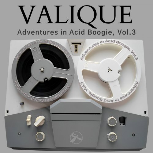 Valique - Adventures in Acid Boogie, Vol. 3 (2023)