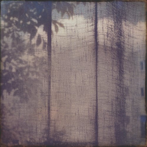 Wil Bolton - Swept (2023)