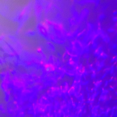 Pablo Jordan - Neukölln (2023)
