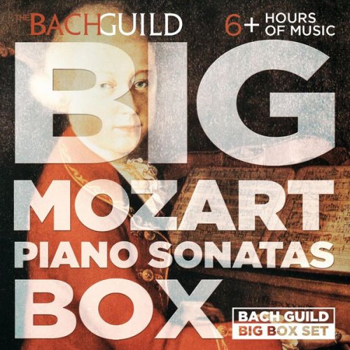 Jeffrey Biegel - Big Mozart Piano Sonatas Box (2015)