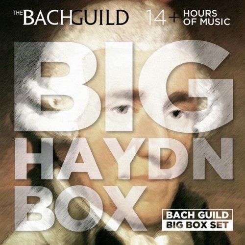 VA - Big Haydn Box (2013)
