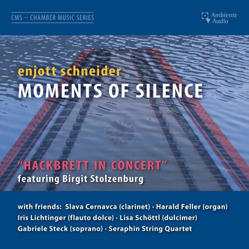 Birgit Stolzenburg - Moments of Silence (2023) Hi-Res