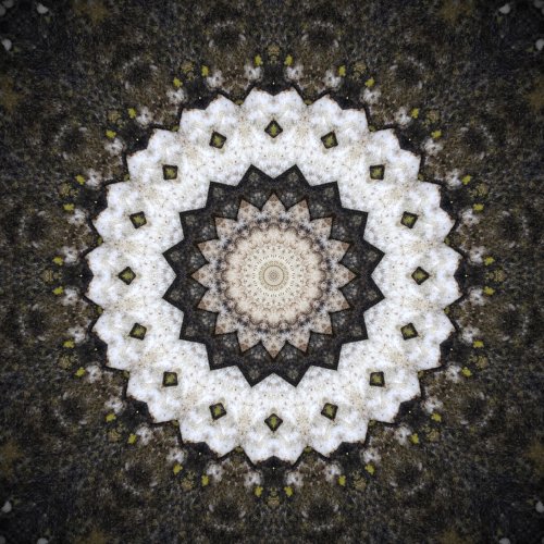 Kino MacGregor - Alcyone (2023)