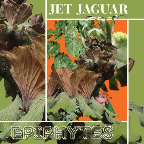 Jet Jaguar - Epiphytes (2023)