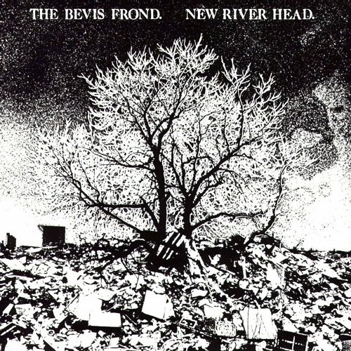 The Bevis Frond - New River Head (1991)