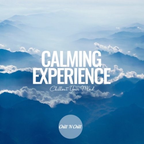 VA - Calming Experience: Chillout Your Mind (2023)