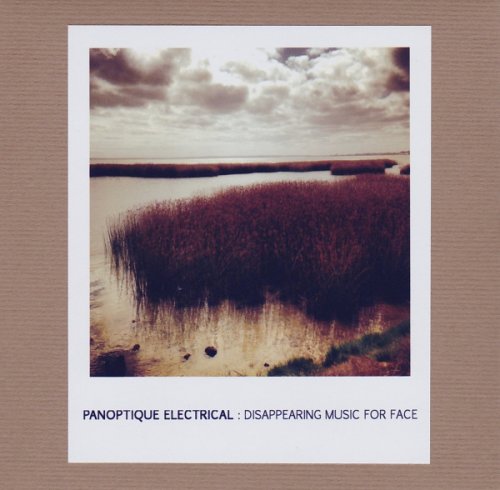 Panoptique Electrical - Disappearing Music For Face (2016)