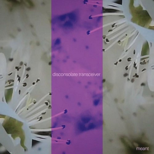 meant. - disconsolate transceiver 2023) [Hi-Res]