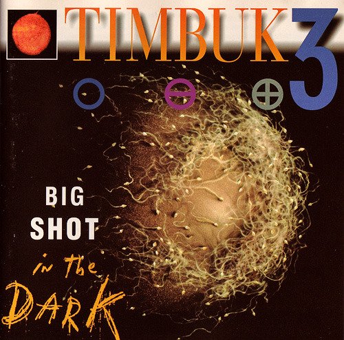 Timbuk 3 - Big Shot In The Dark (1991)