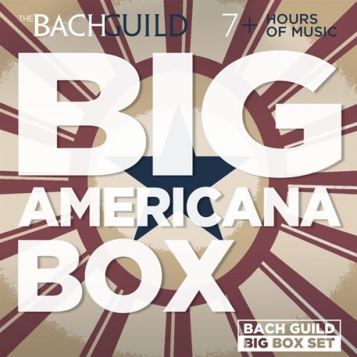 VA - Big Americana Box (2015)